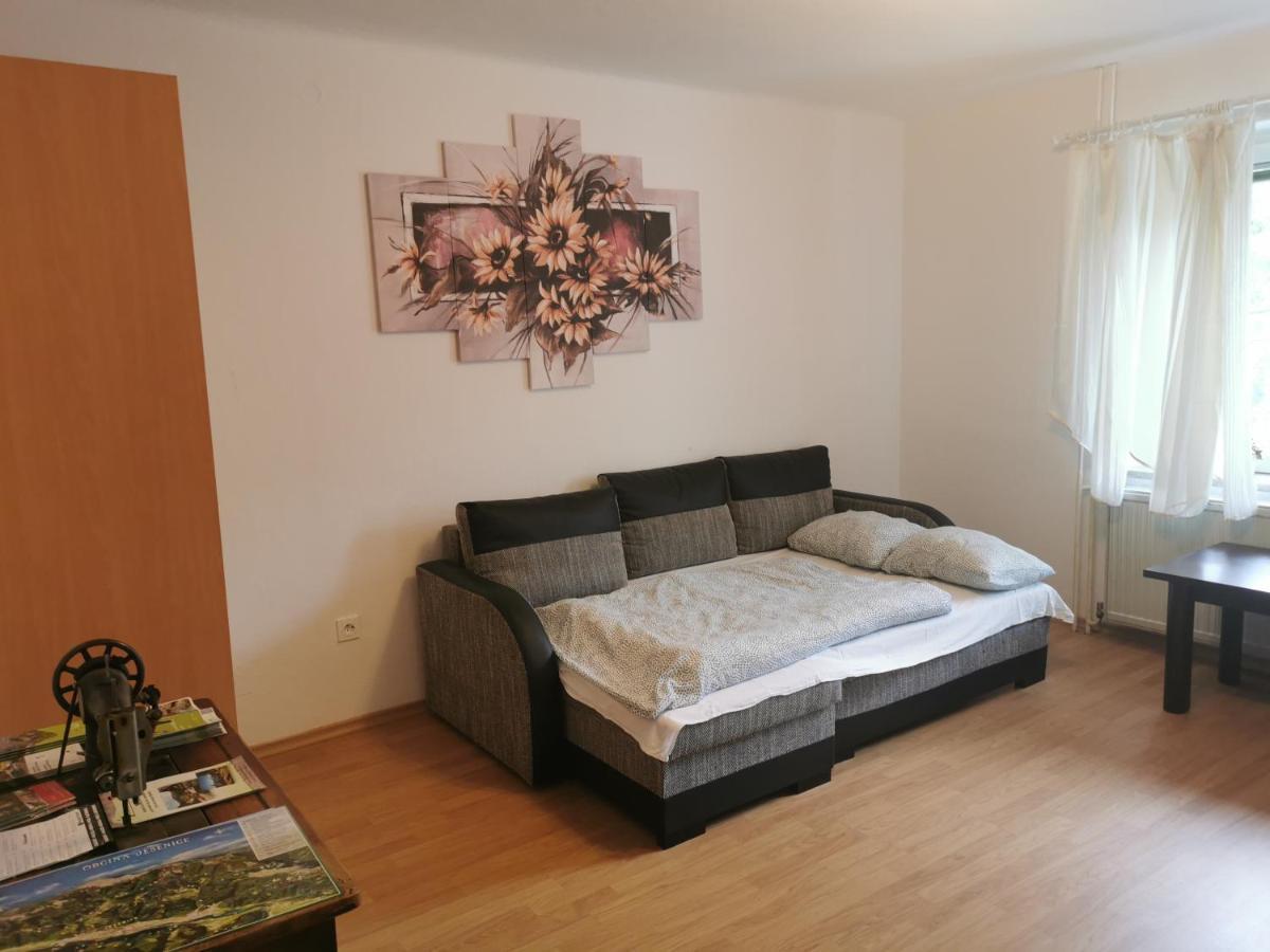 Apartma Rekar - A House, Where You Can Relax In The Embrace Of Nature Jesenice Exterior photo